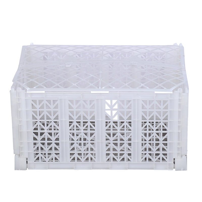 Food Tray & Clamshell Mould