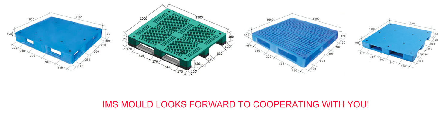 Pallet Mould Image